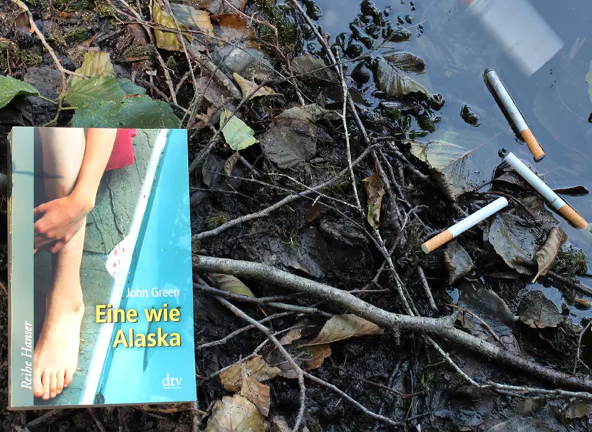 Bild von «Looking for Alaska»